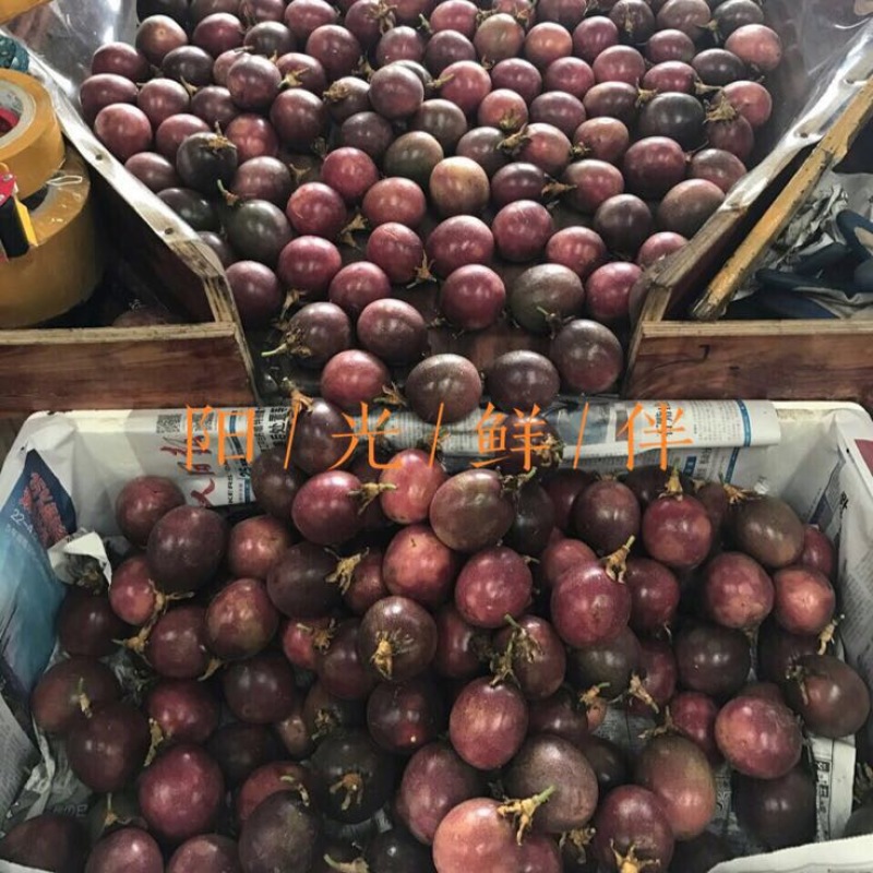 百香果90~100g紫果