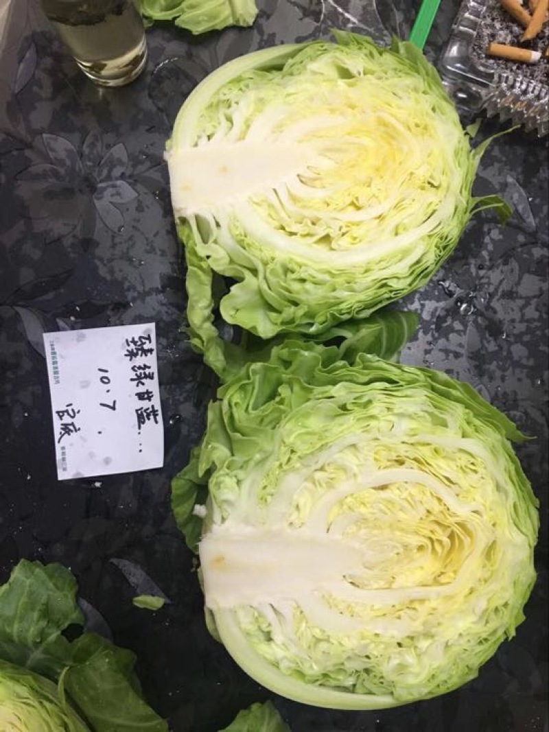 春秋甘蓝种子～臻绿甘蓝种子