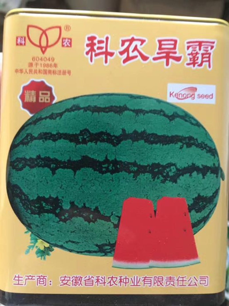 抗旱大型西瓜种子～科龙旱霸