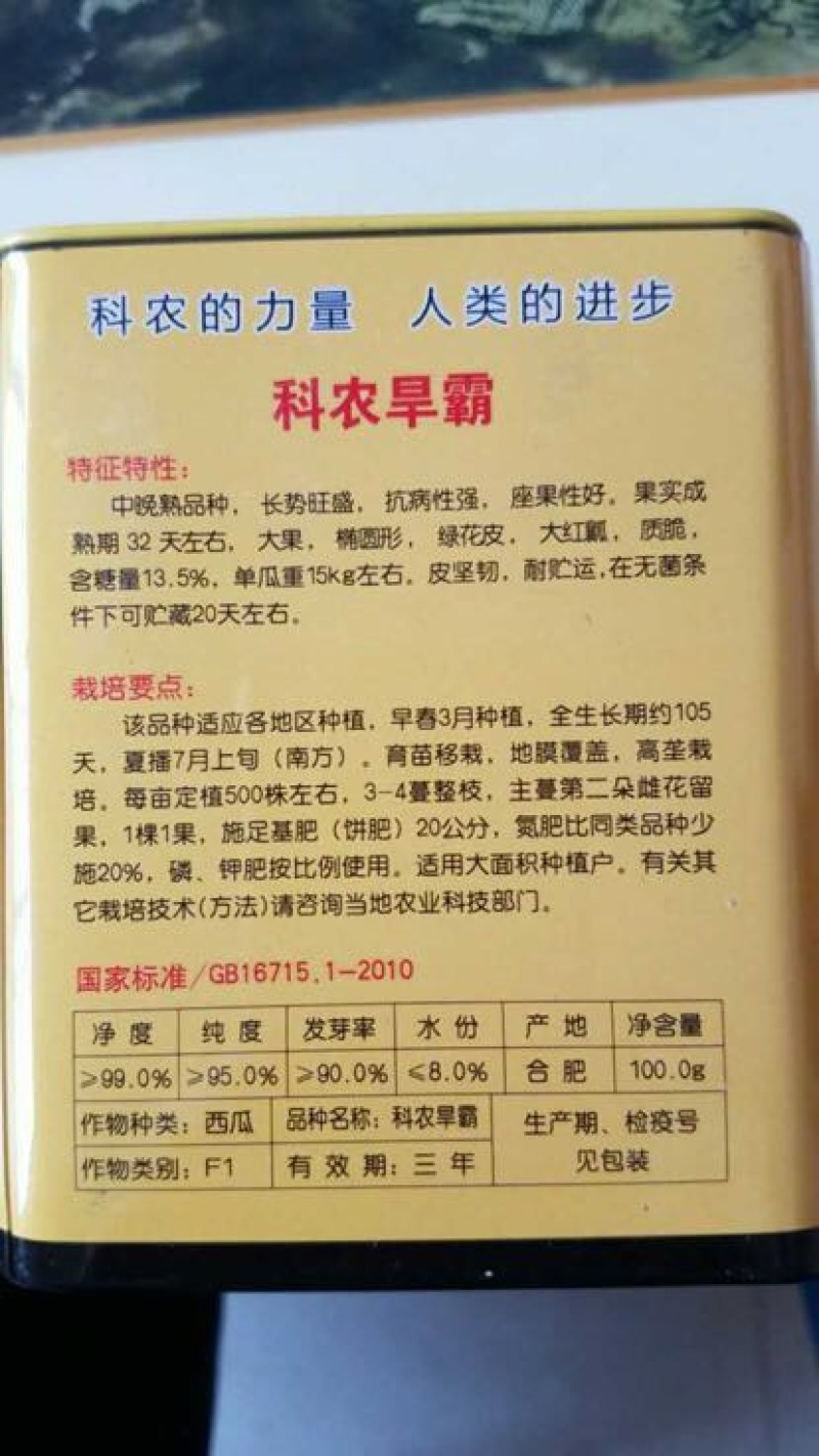 抗旱大型西瓜种子～科龙旱霸
