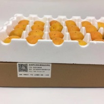 宫川蜜橘6.5~7cm