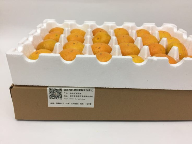 宫川蜜橘6.5~7cm