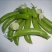 甜脆豌豆饱满