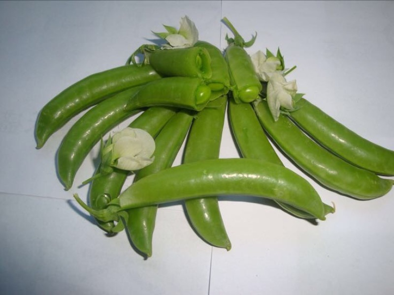 甜脆豌豆饱满