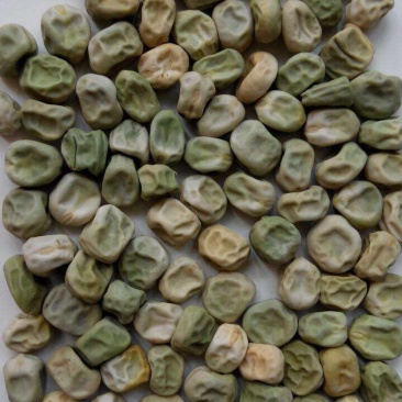 甜脆豌豆饱满
