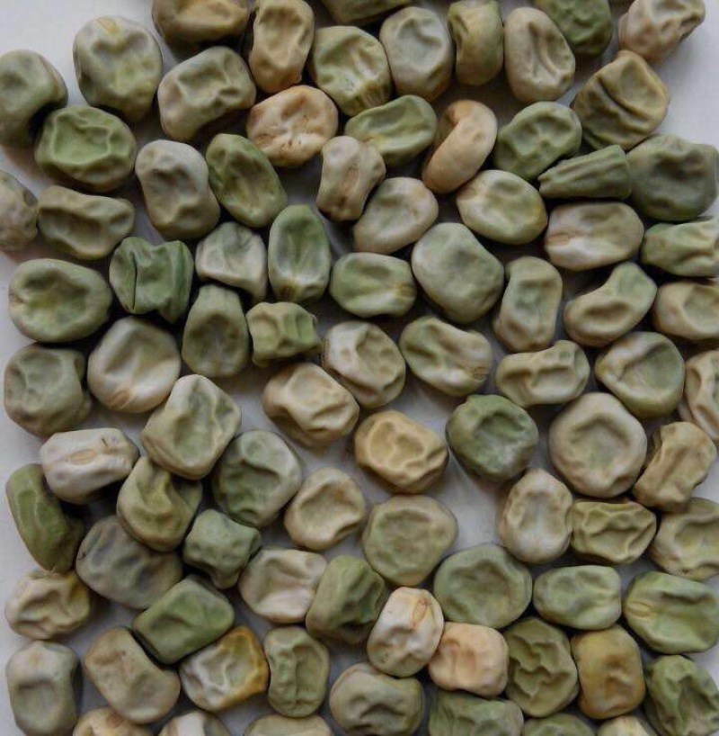 甜脆豌豆饱满
