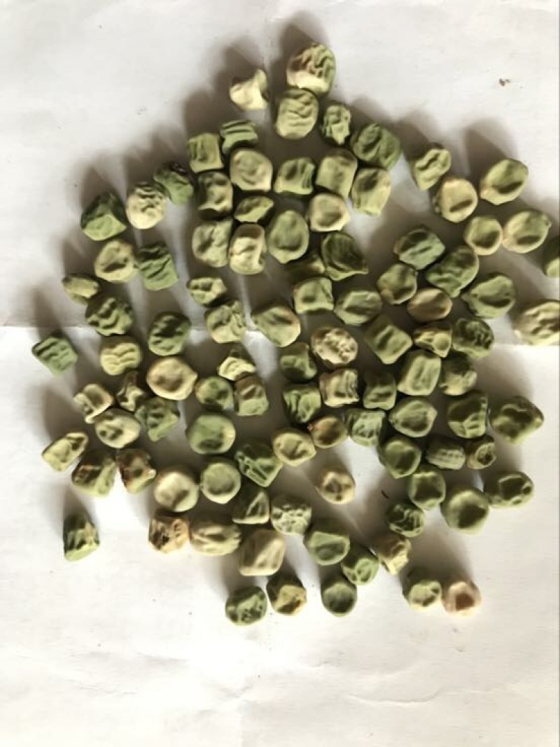 甜脆豌豆饱满