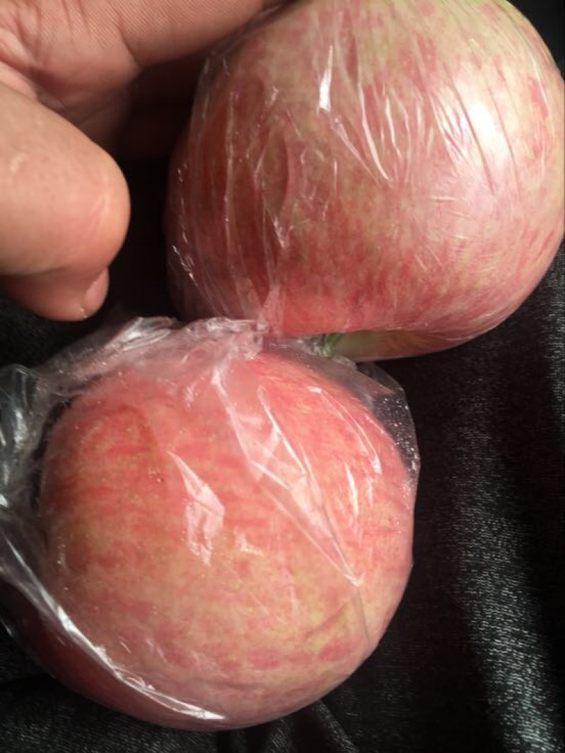 红富士苹果70mm以上纸+膜袋规格齐全，欢迎采购