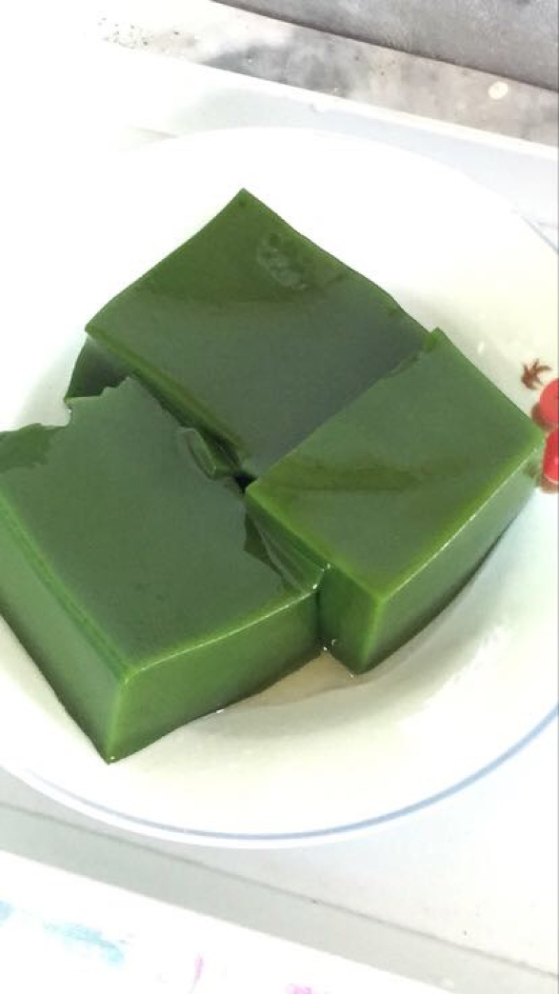 豆腐树苗80~100cm