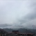 四川香椿芽红油香椿芽价格优惠大量供货欢迎咨询