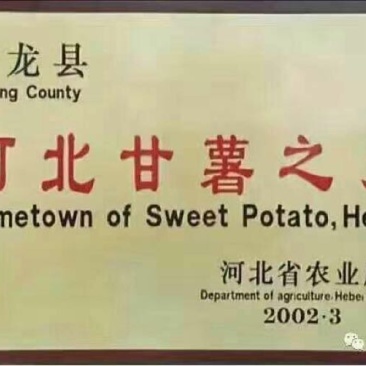 红薯淀粉袋装