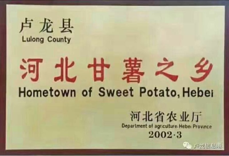 红薯淀粉袋装