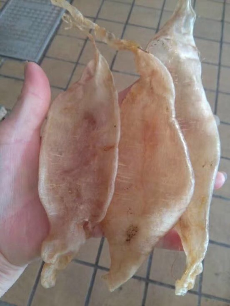 干瑶柱