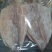 干瑶柱