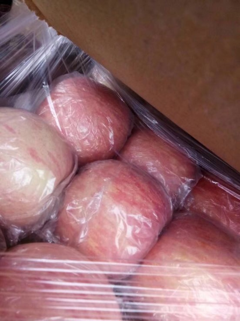 红富士苹果75mm以上纸+膜袋，产地一手货源，量大优