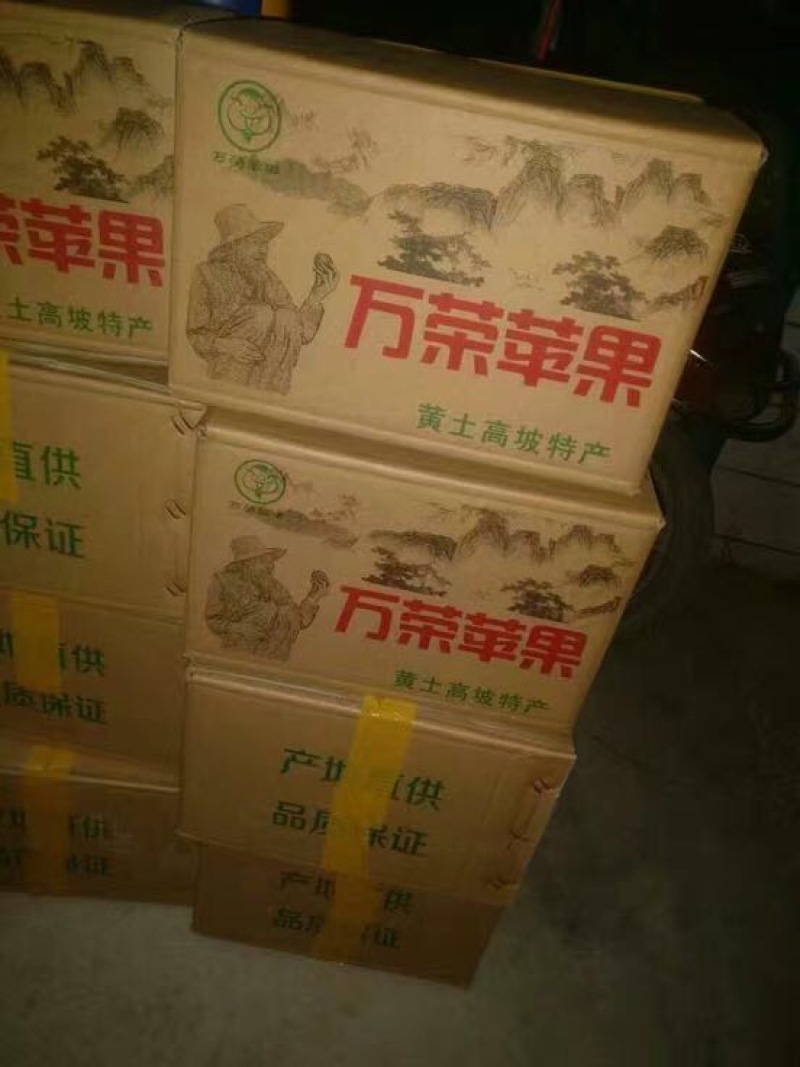 红富士苹果75mm以上纸+膜袋，产地一手货源，量大优
