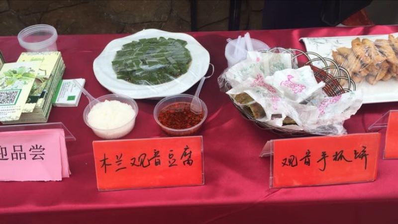 豆腐树苗80~100cm