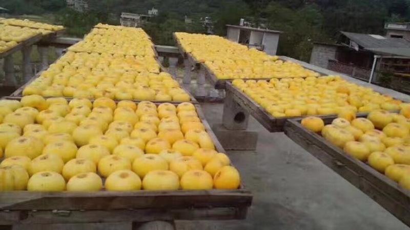 柿饼1~2两