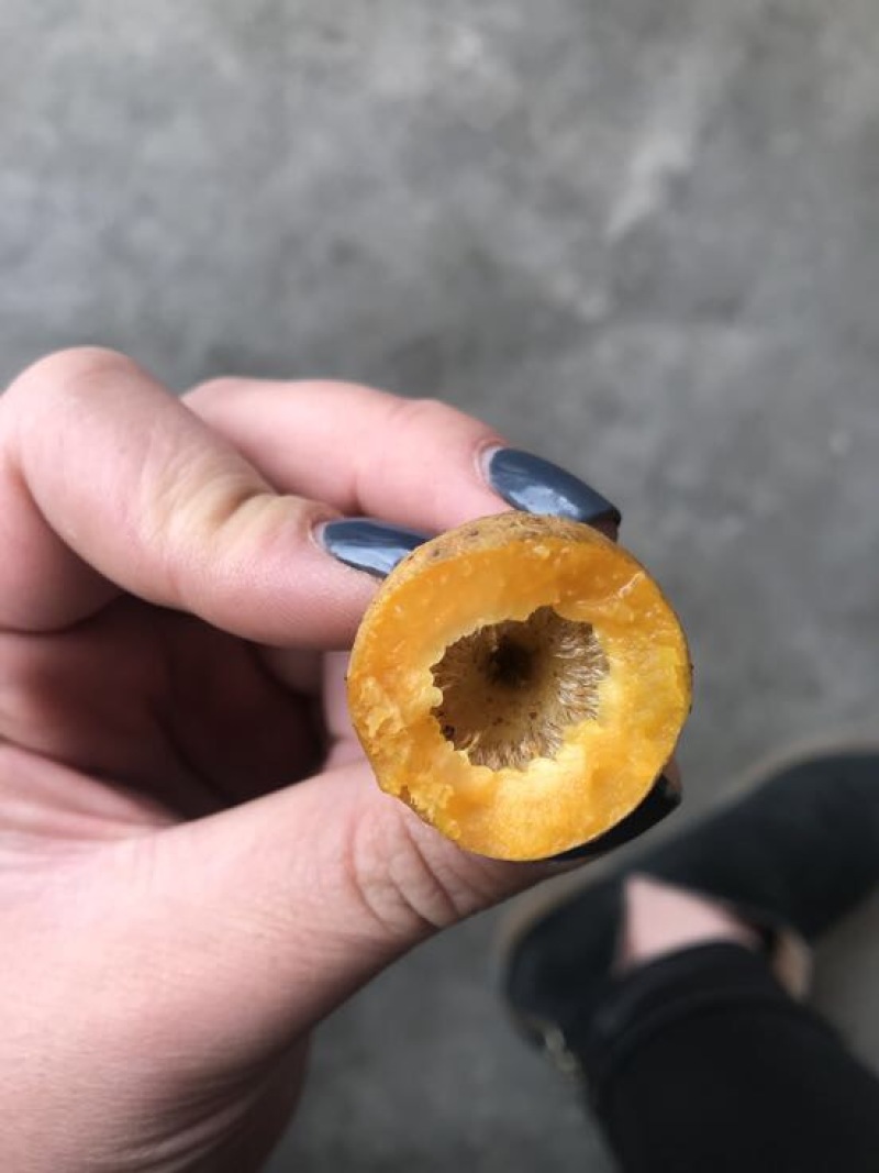 刺梨鲜