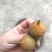刺梨鲜
