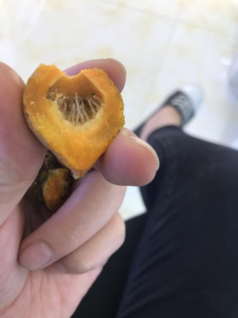 刺梨鲜