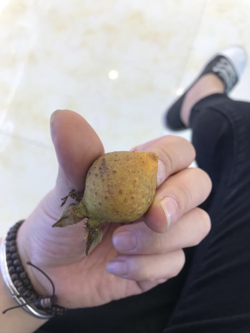 刺梨鲜