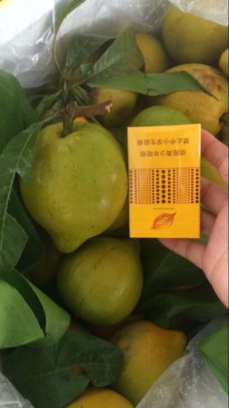 蛋黄果越南进口，桶货