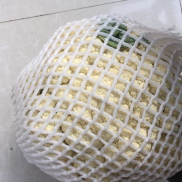 白面青梗松花菜2~3斤散花米黄
