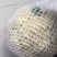 白面青梗松花菜2~3斤散花米黄