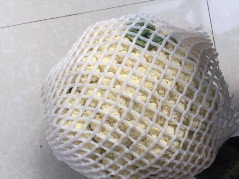 白面青梗松花菜2~3斤散花米黄