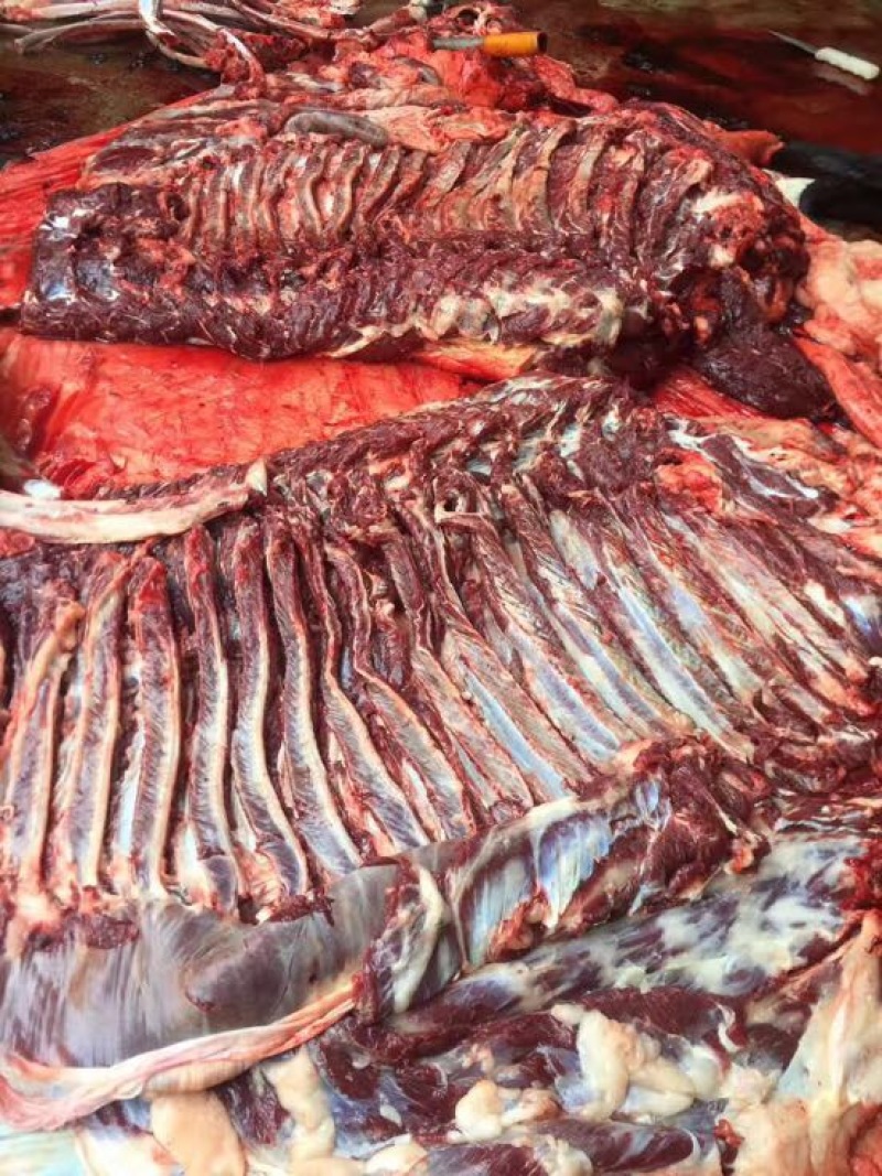 新鲜驴肉，带皮驴肉，驴排上门屠宰，供应全国