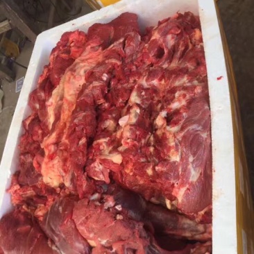 新鲜驴肉，带皮驴肉，驴排上门屠宰，供应全国