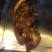 猪头肉包装