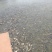 三道鳞食用1~2公斤