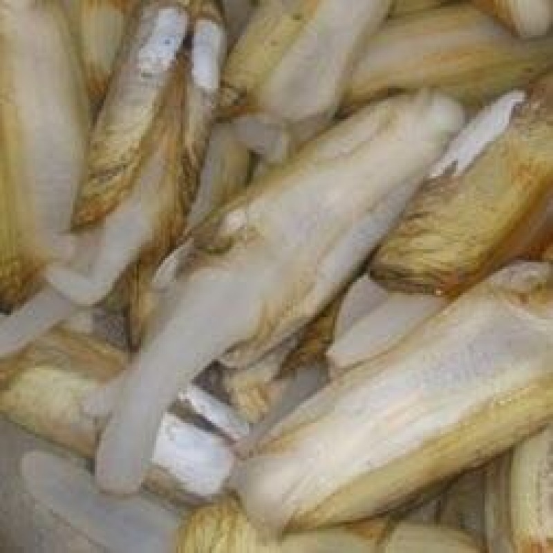 海蛏食用
