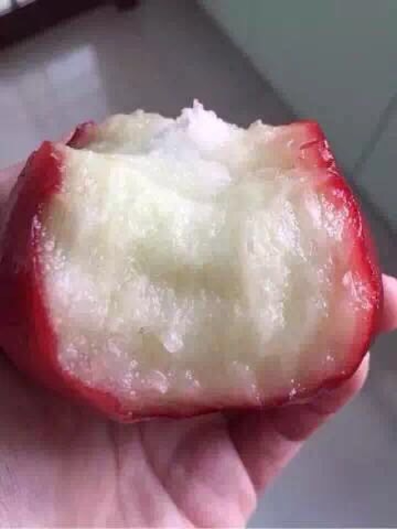 黑金刚莲雾苗热带水果苗黑珍珠莲雾无花果