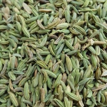 小茴香净货