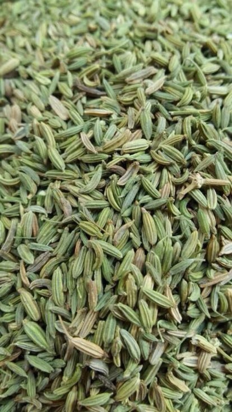 小茴香净货