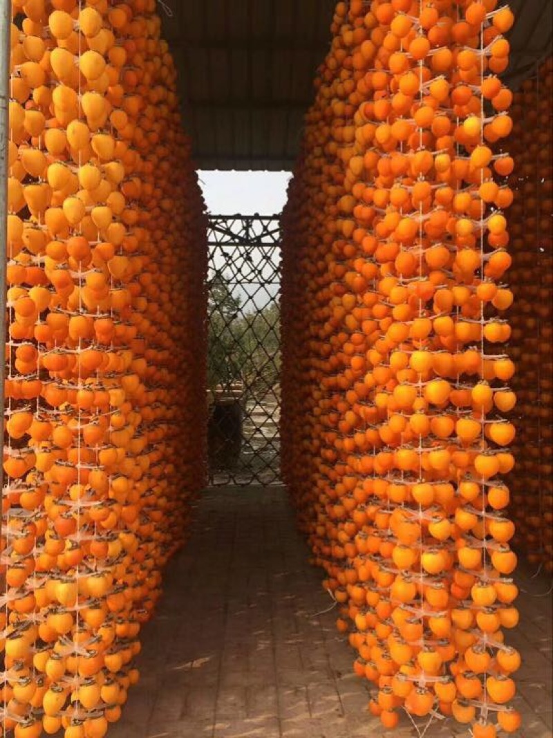 柿饼1~2两