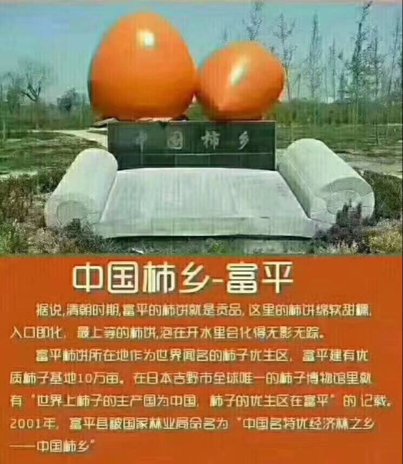 柿饼1两以下