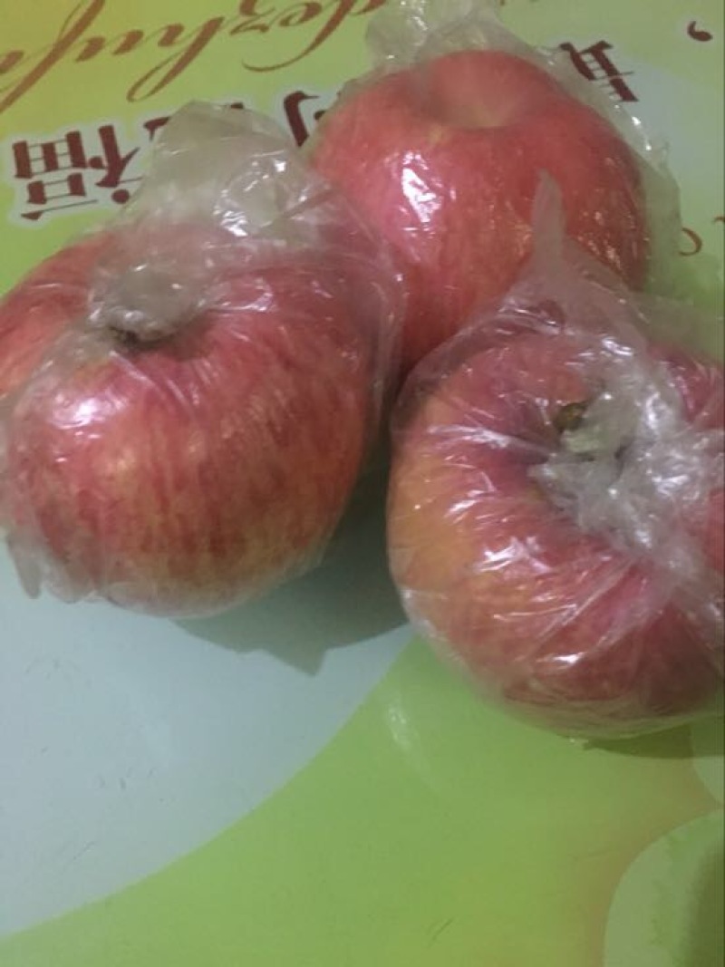 冰糖心苹果产地，陕西纸加膜红富士苹果产地批发，红富士价格