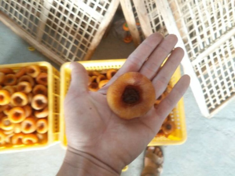 柿饼1两以下