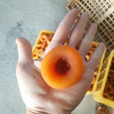 柿饼1~2两