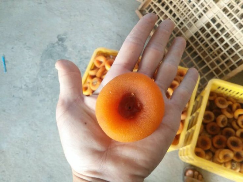 柿饼1~2两