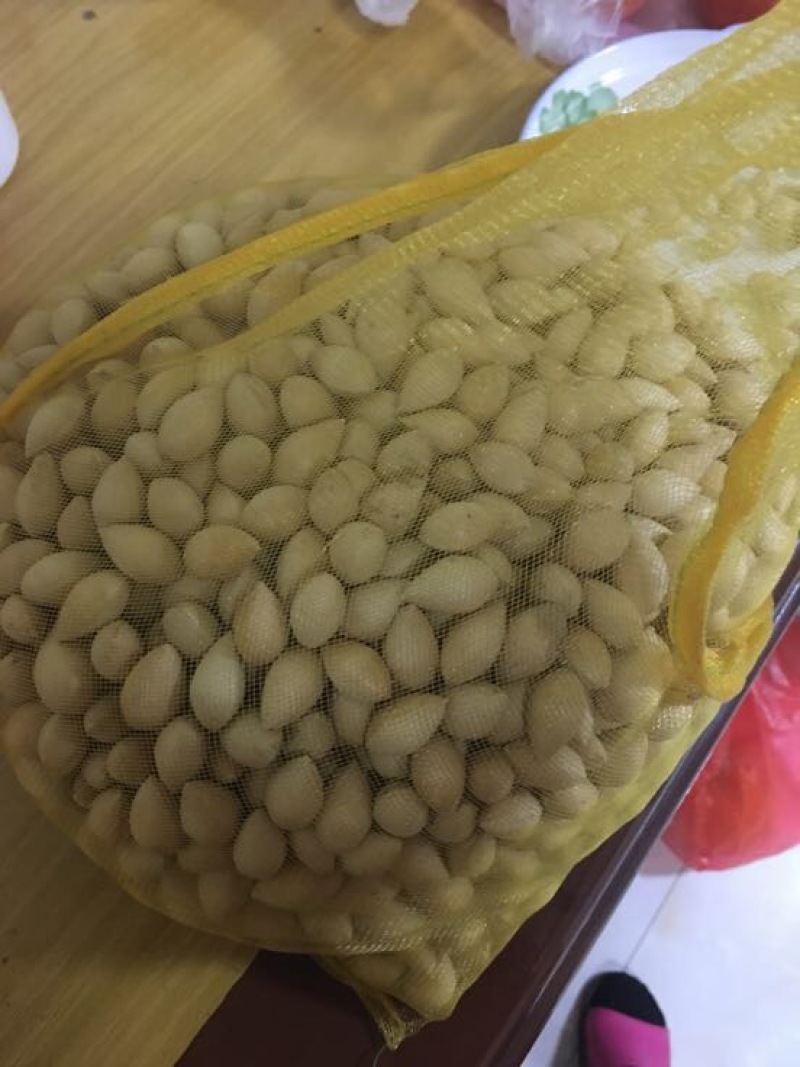 银杏果