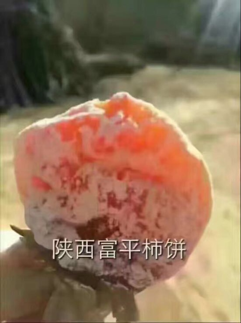 柿饼1~2两