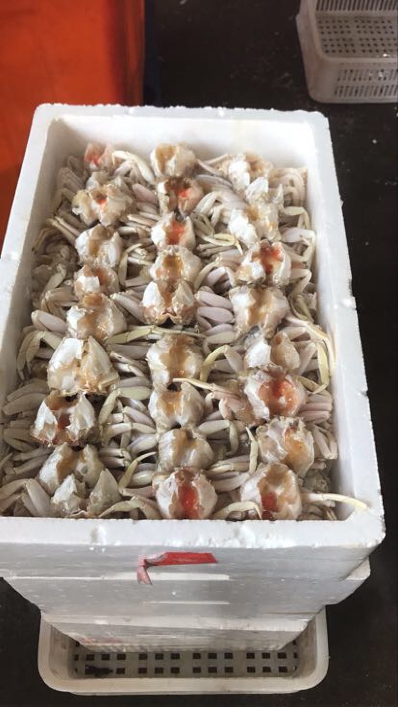 面包蟹食用