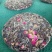 普洱茶一级