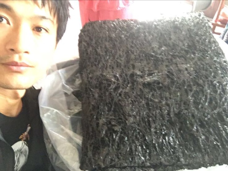 紫菜野生头水