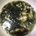 紫菜野生头水